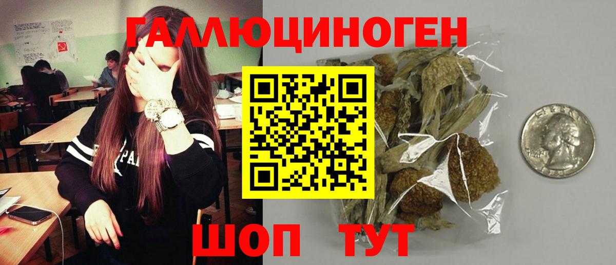 Новокуйбышевск  Галлюциногенные грибы Psilocybe  Вход с VPN 